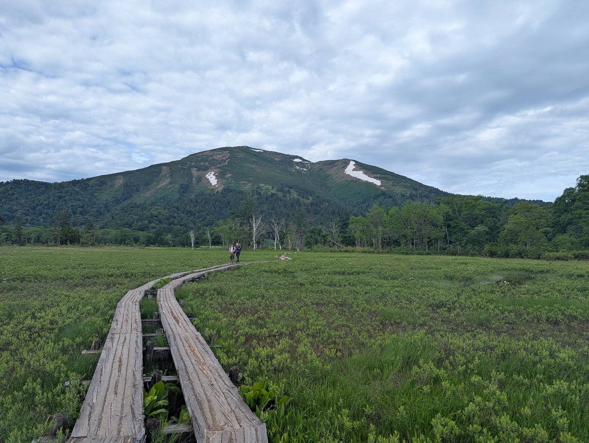 Oze Marshland in Early Summer, Gunma