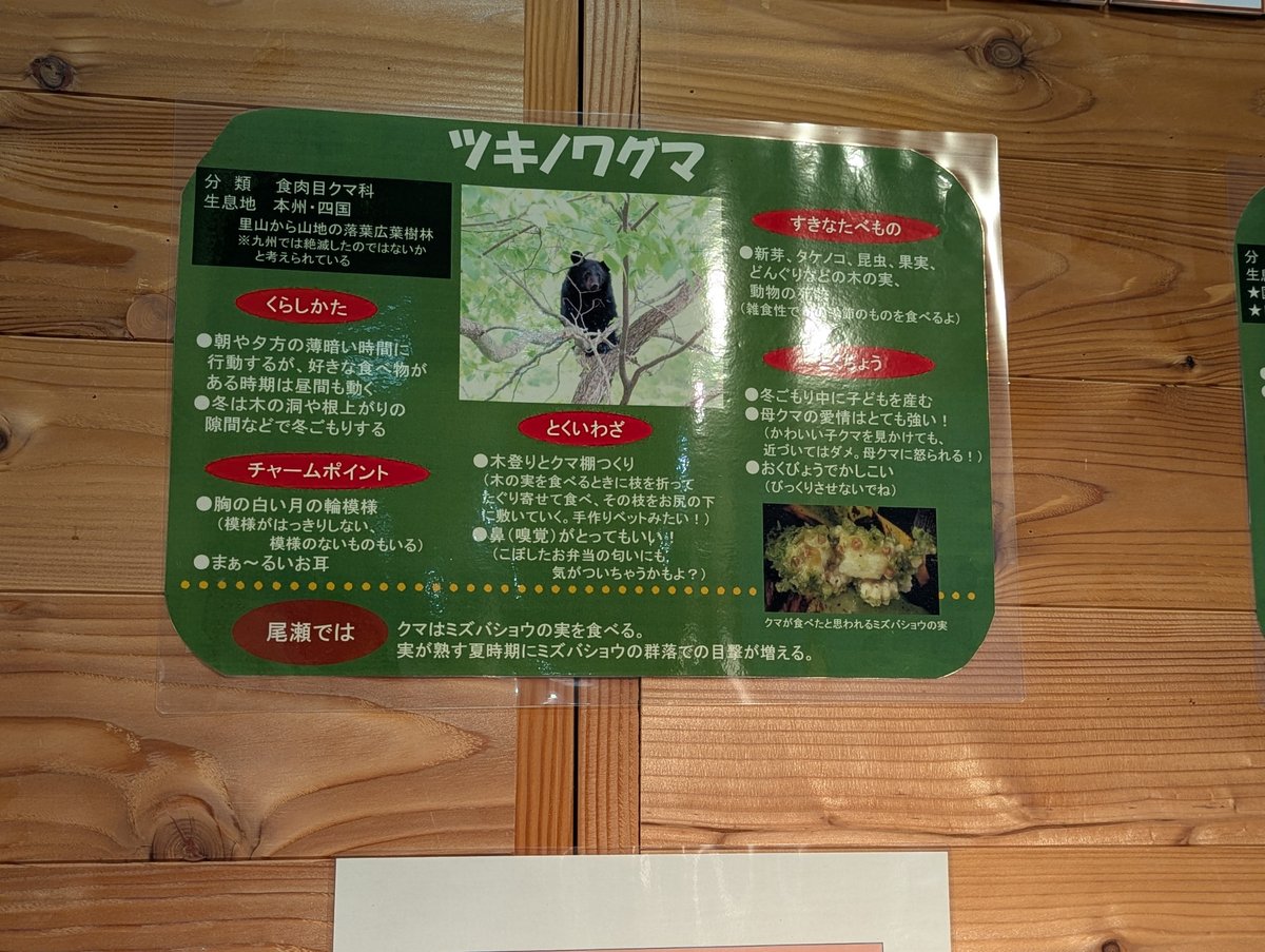 Early Morning at Tokura, Katashina—Gunma's Hidden Mountain Rest Stop photo 2