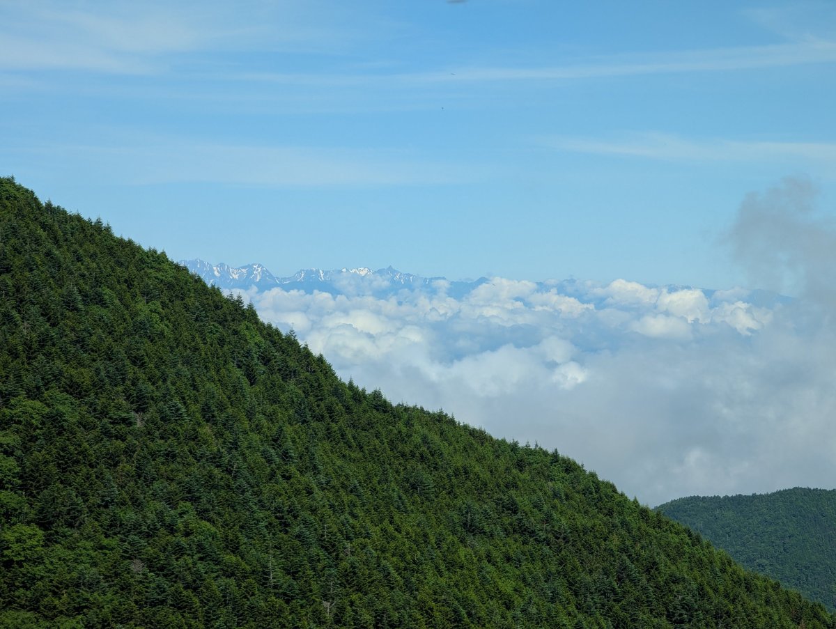Mt. Yatsugatake Forest Walk, Nagano — July Morning photo 3