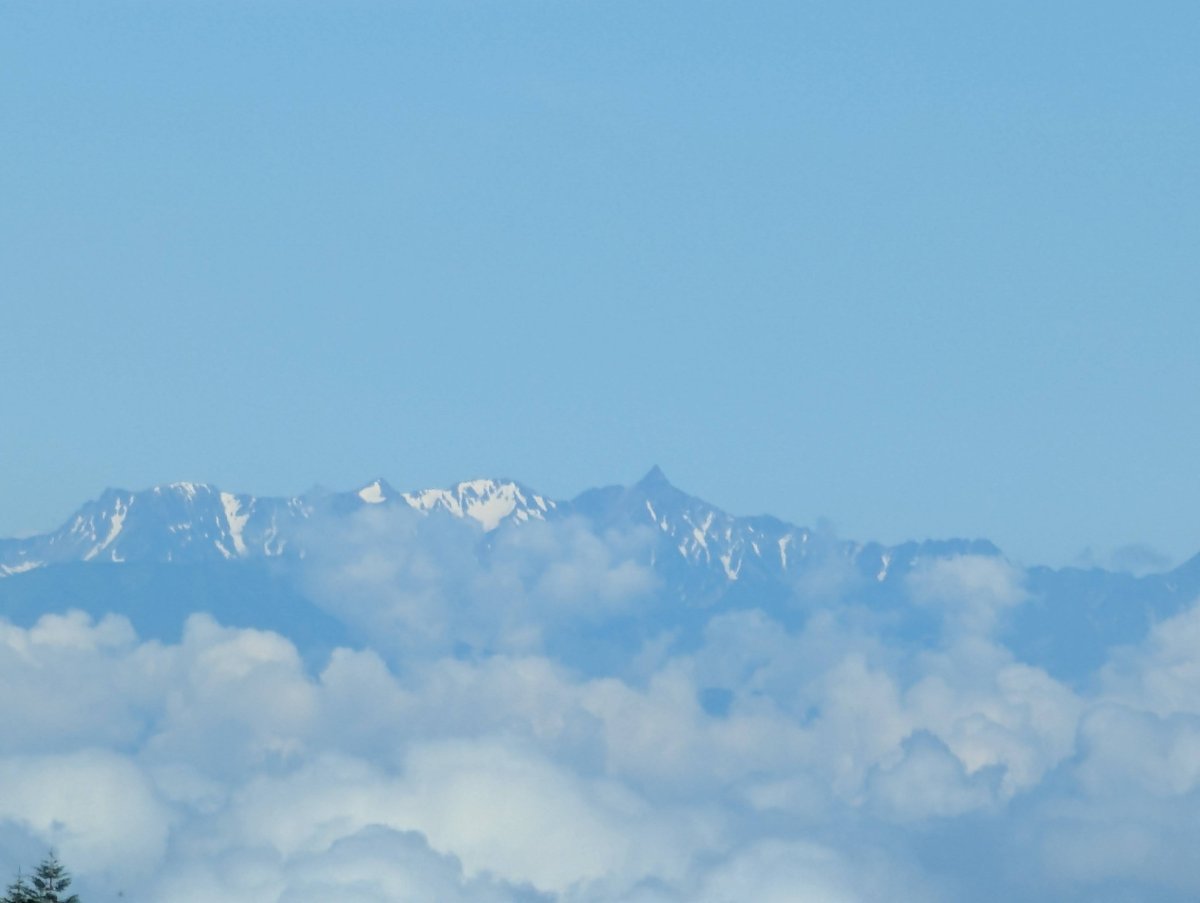 Mt. Yatsugatake Forest Walk, Nagano — July Morning photo 4