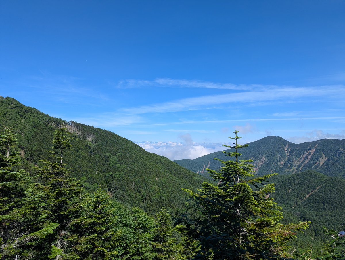Mt. Yatsugatake Forest Walk, Nagano — July Morning photo 5