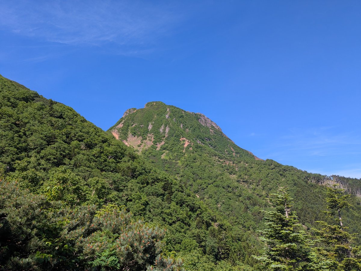 Mt. Yatsugatake Forest Walk, Nagano — July Morning photo 6