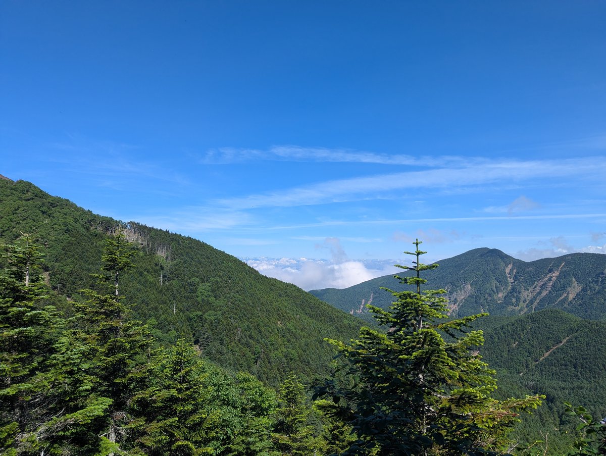 Mt. Yatsugatake Forest Walk, Nagano — July Morning photo 7