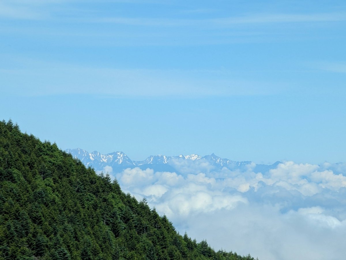 Mt. Yatsugatake Forest Walk, Nagano — July Morning photo 8