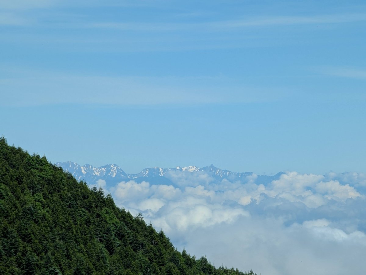 Mt. Yatsugatake Forest Walk, Nagano — July Morning photo 9