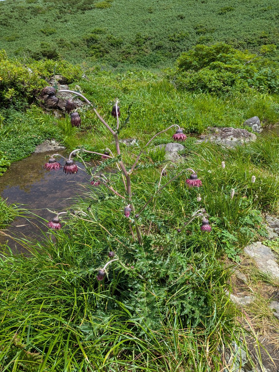 Mt. Chōkai Volcano View from Yuza, Yamagata photo 9