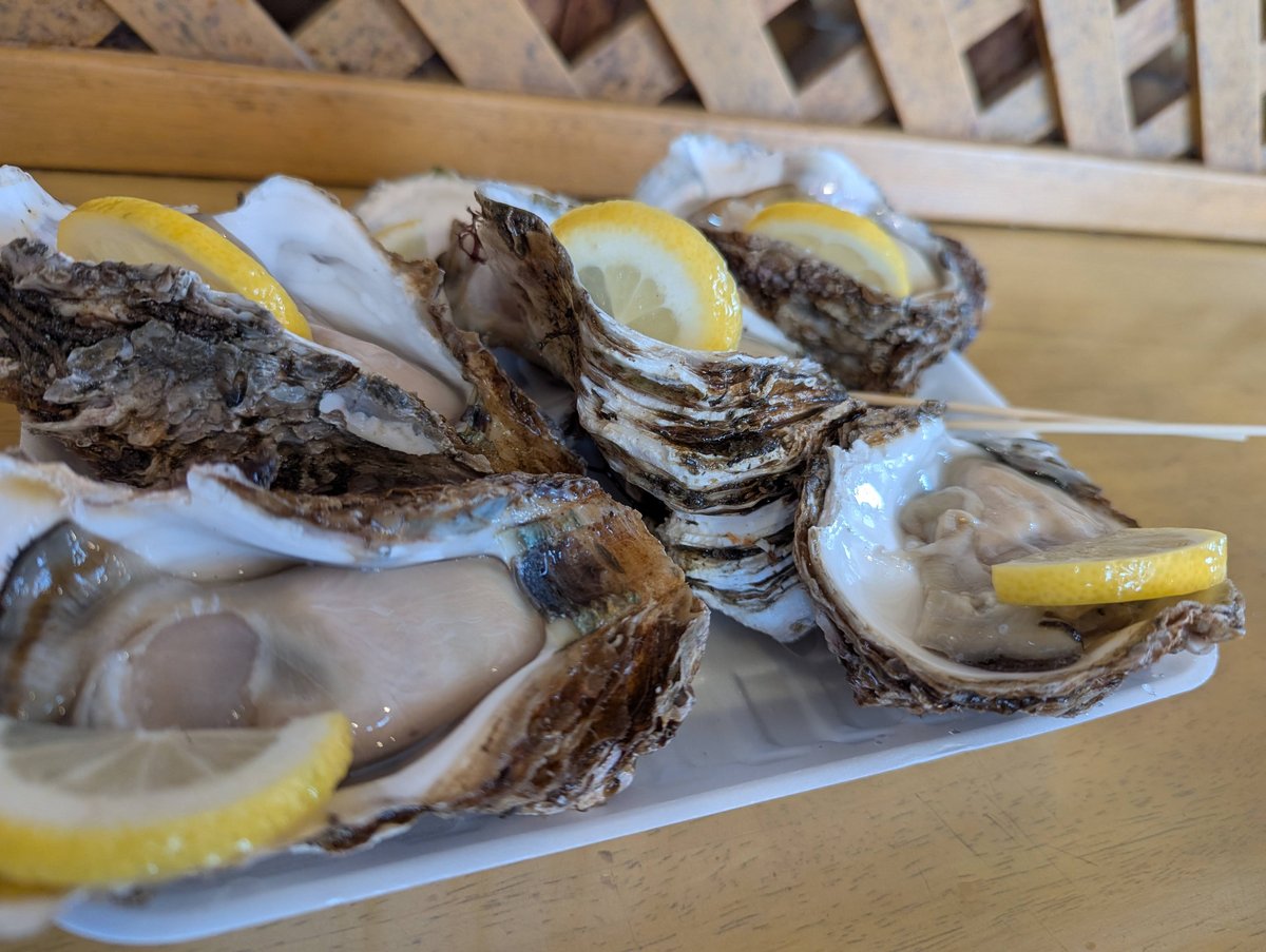 Fresh Oysters in Yuza, Yamagata