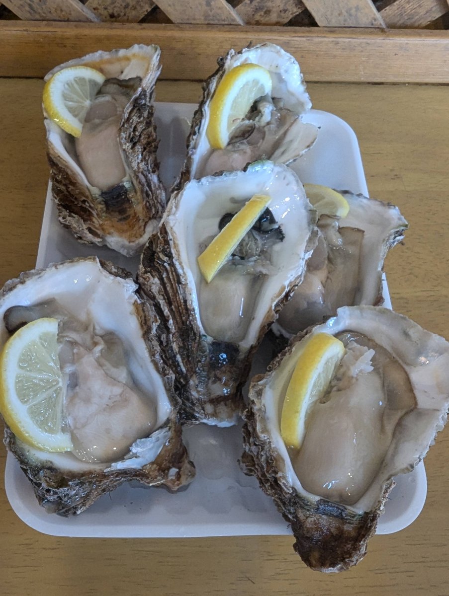 Fresh Oysters in Yuza, Yamagata photo 2