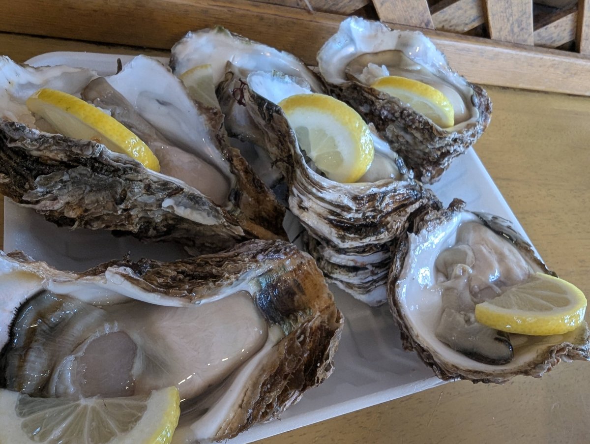 Fresh Oysters at Yuza Market, Yamagata