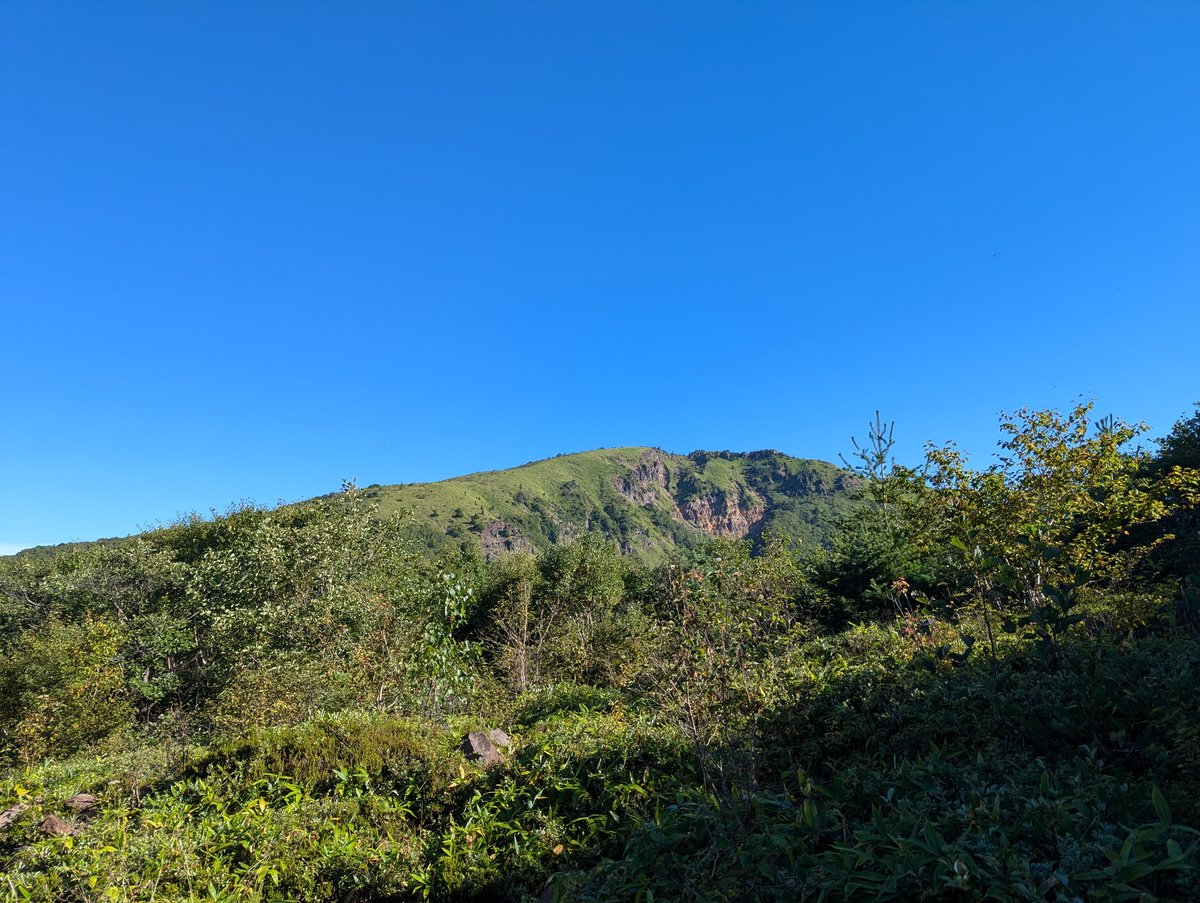 Early Morning Wildflowers in Ueda, Nagano photo 6