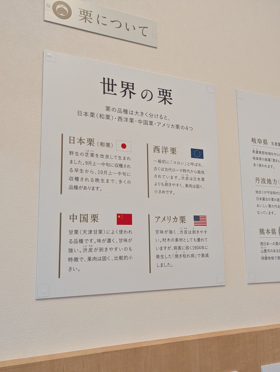 Chestnut Sweets Market, Obuse Nagano photo 3