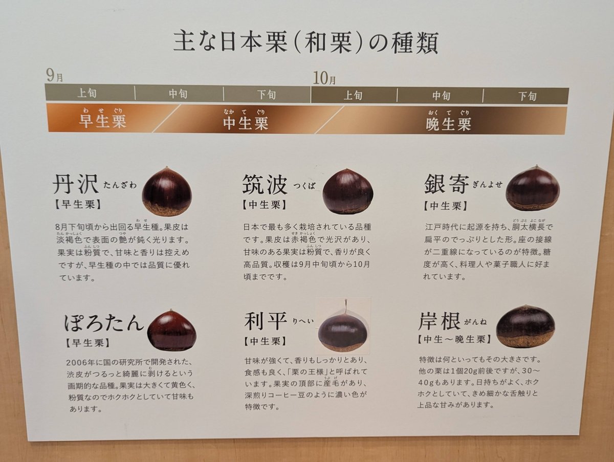 Chestnut Sweets Market, Obuse Nagano photo 5