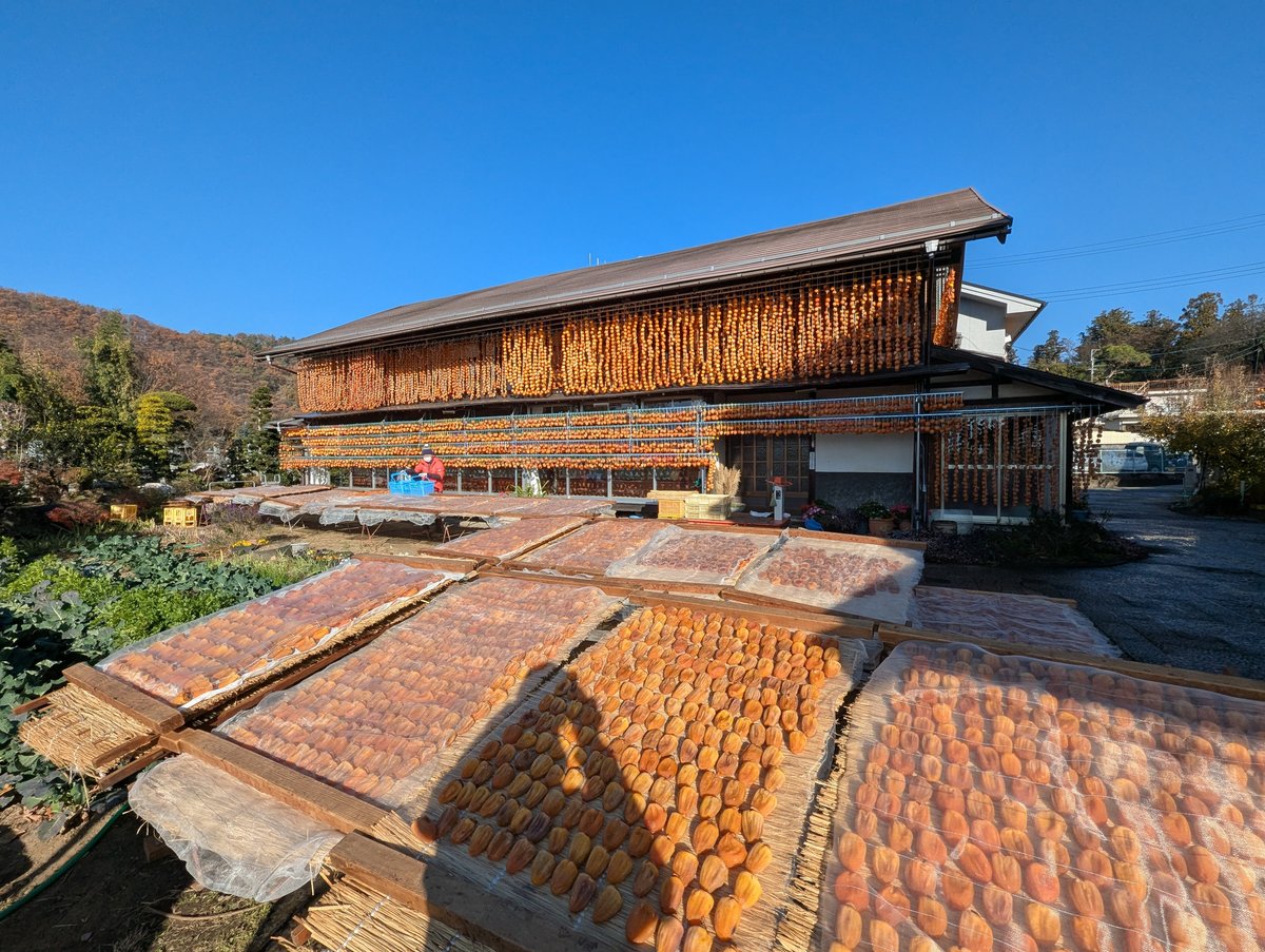 Autumn in Koshu, Yamanashi — Mountain Colors & Clear Skies photo 2