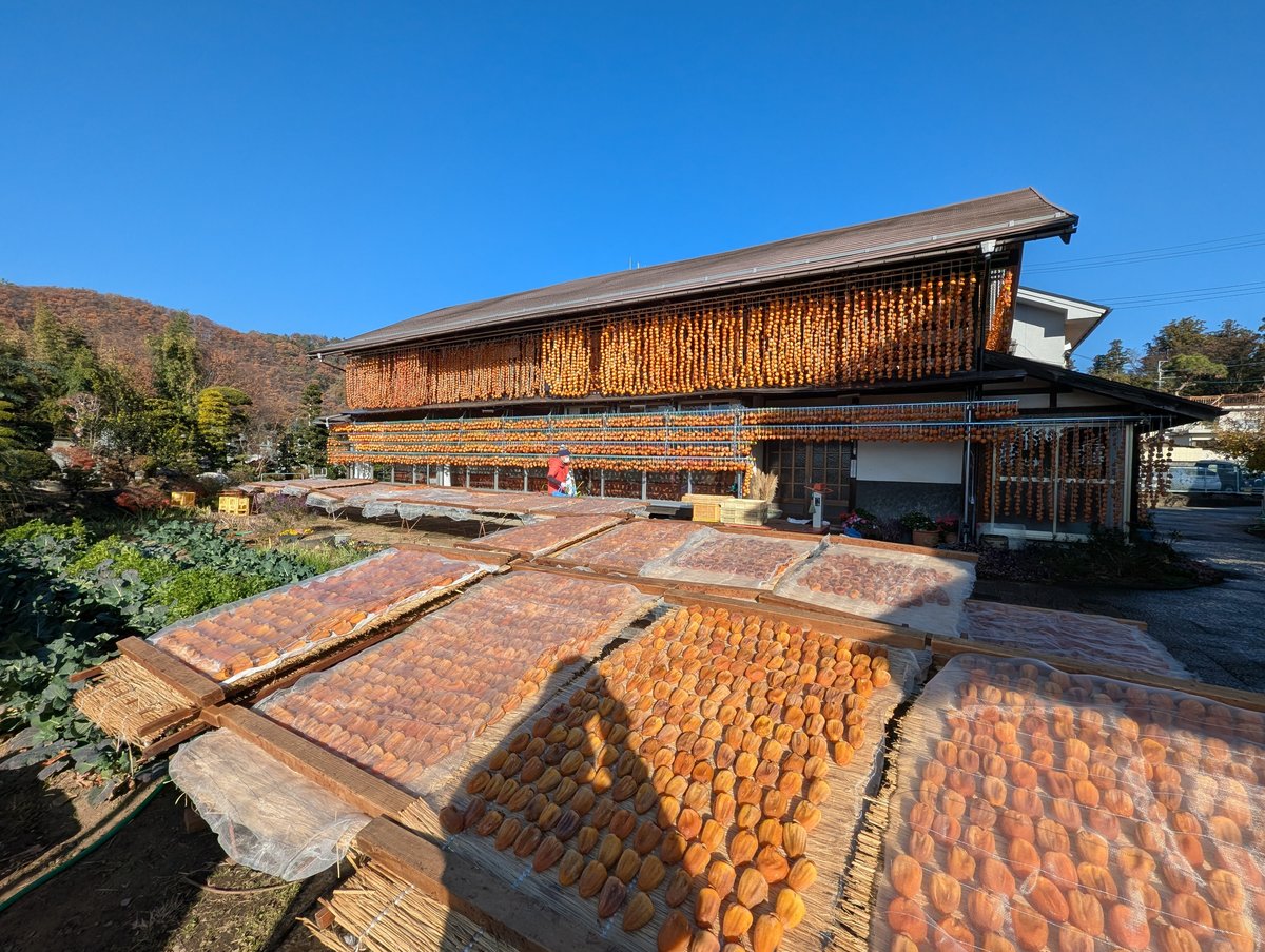 Autumn in Koshu, Yamanashi — Mountain Colors & Clear Skies photo 3