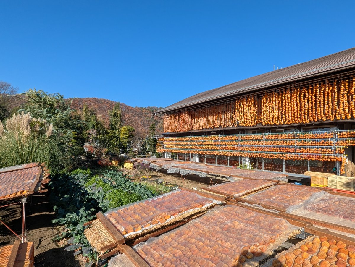 Autumn in Koshu, Yamanashi — Mountain Colors & Clear Skies photo 4