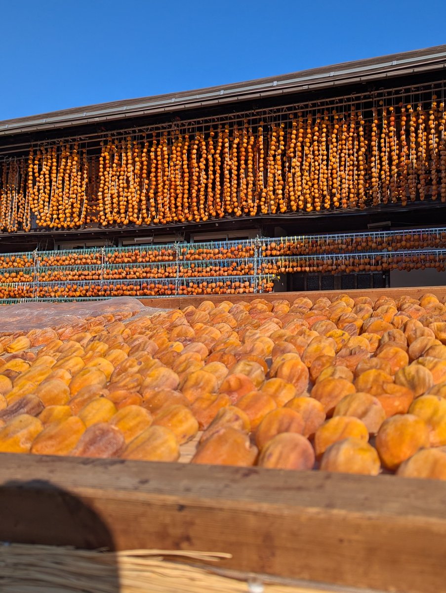 Autumn in Koshu, Yamanashi — Mountain Colors & Clear Skies photo 6