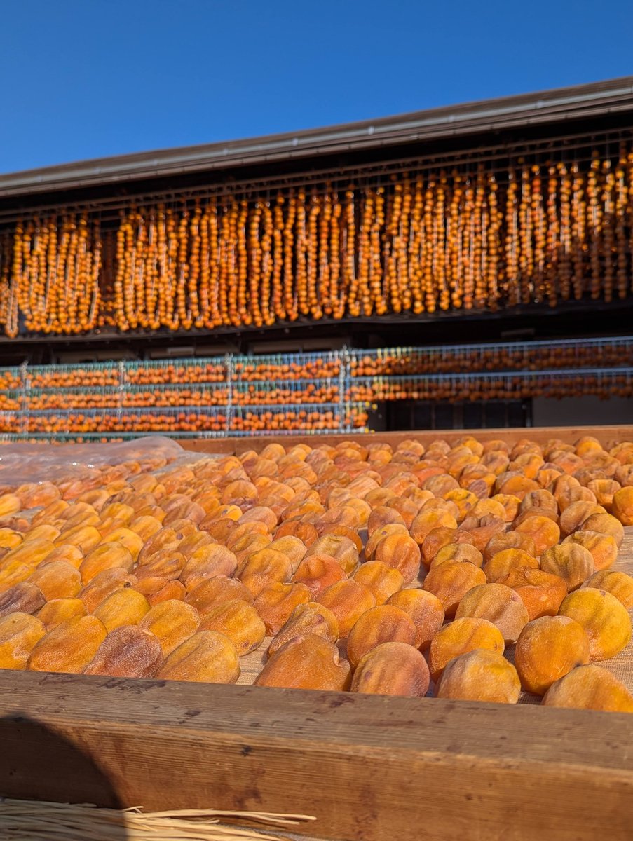 Autumn in Koshu, Yamanashi — Mountain Colors & Clear Skies photo 7