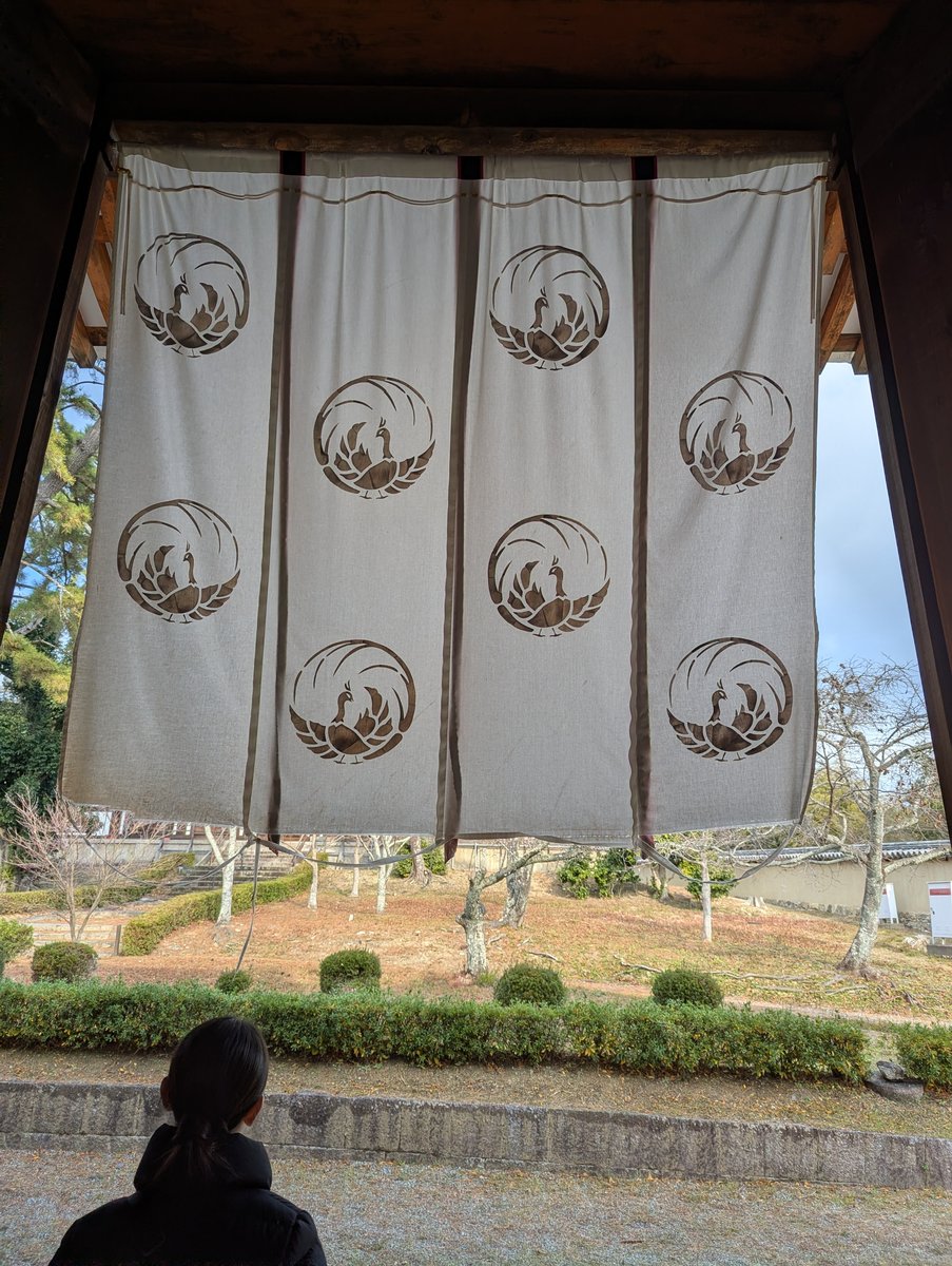 Horyuji Temple, Ikaruga — Ancient Wooden Halls, December Light photo 6