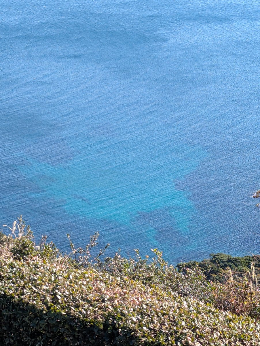 Coastal Cliffs & Pampas Grass, Uramuracho Toba photo 3