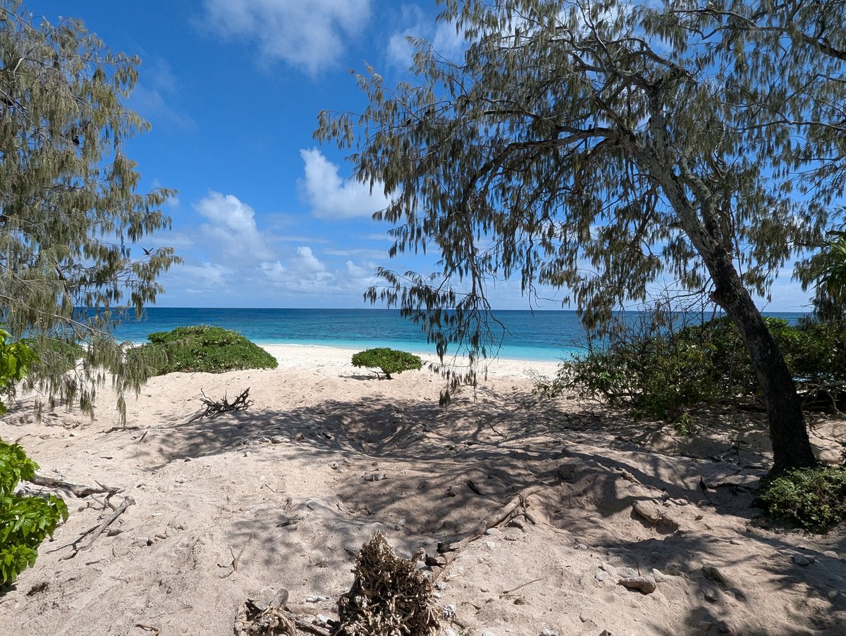 Wilson Island Lodge Times, Queensland photo 2