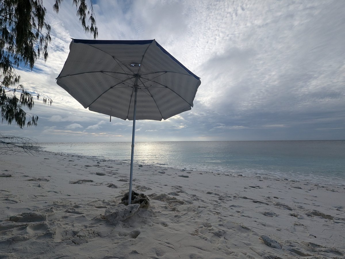 Wilson Island Lodge Times, Queensland photo 8