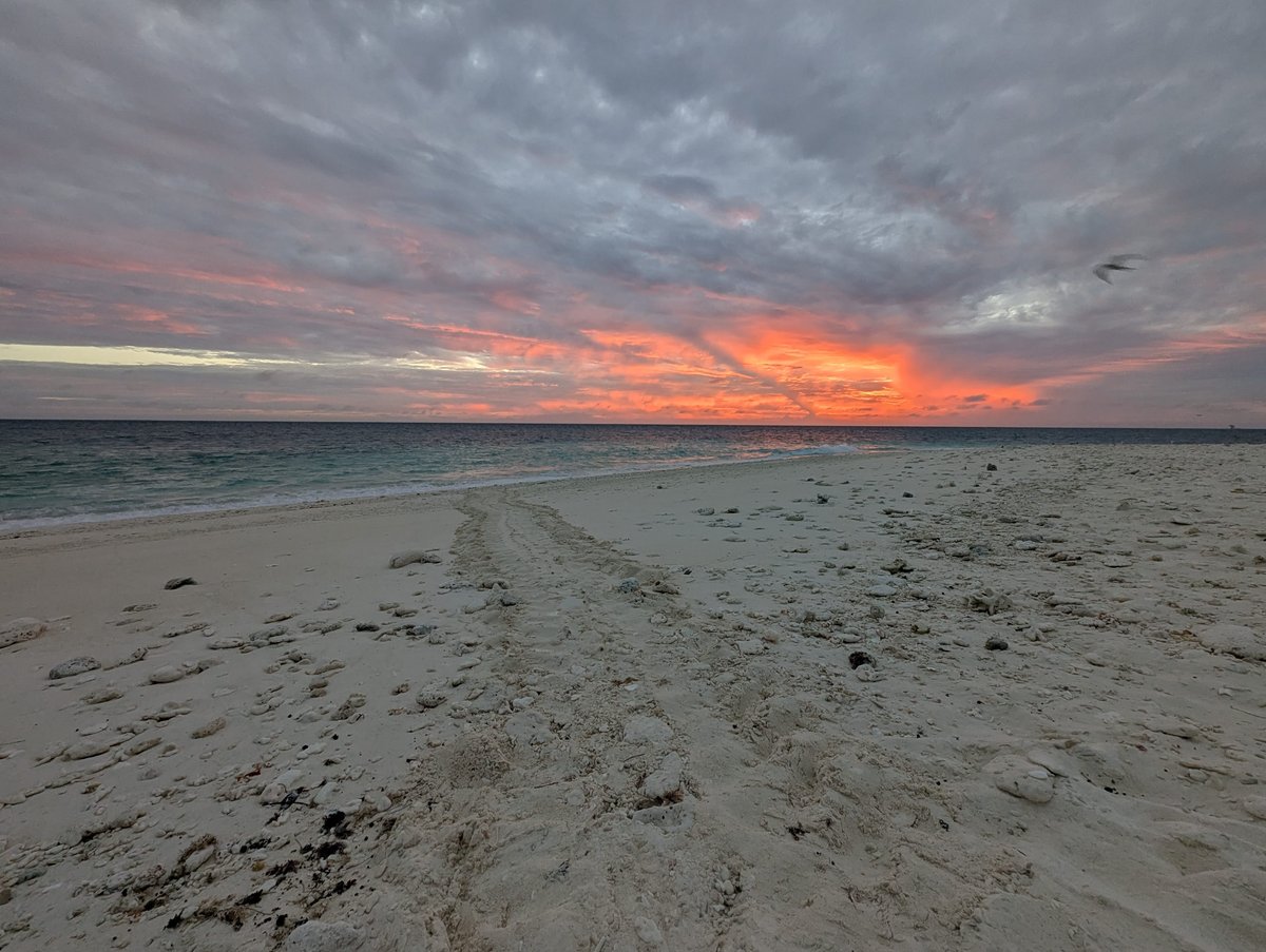 Queensland Beach Sunset, January