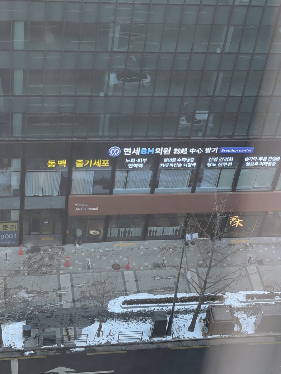 Seoul Medical Hub in Winter — Yeoksam's Healing Centre