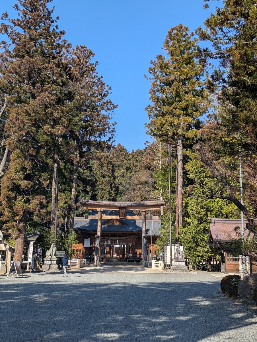 Shrine Approach in Azumino, Nagano — Early Spring Forest Walk