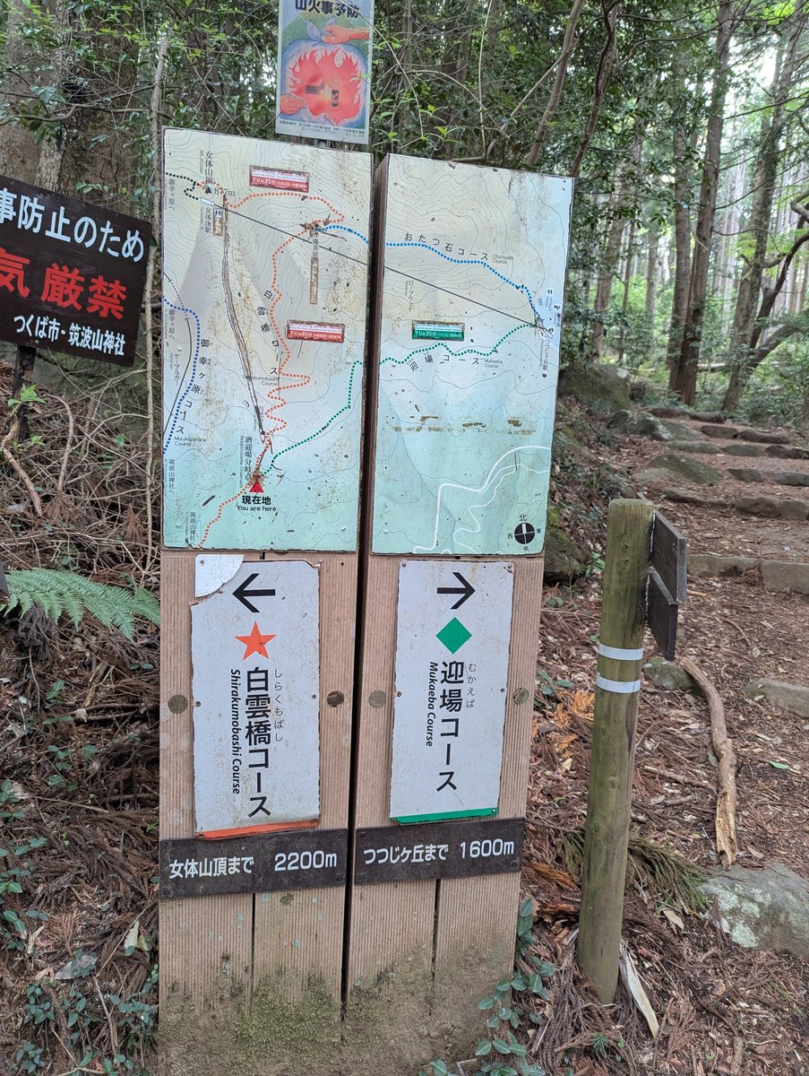 Mt. Tsukuba Trail Junction at Dawn, Ibaraki
