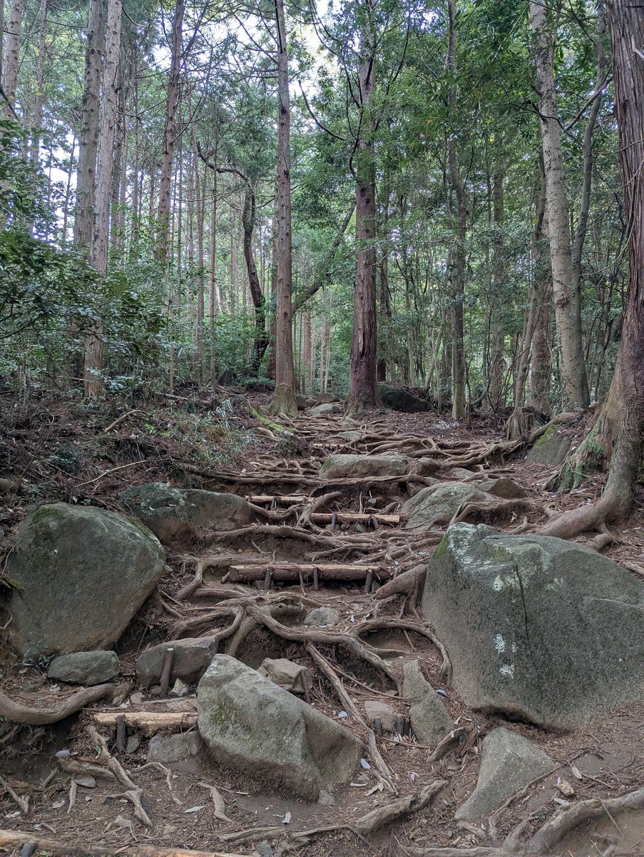 Mt. Tsukuba Trail Junction at Dawn, Ibaraki photo 2
