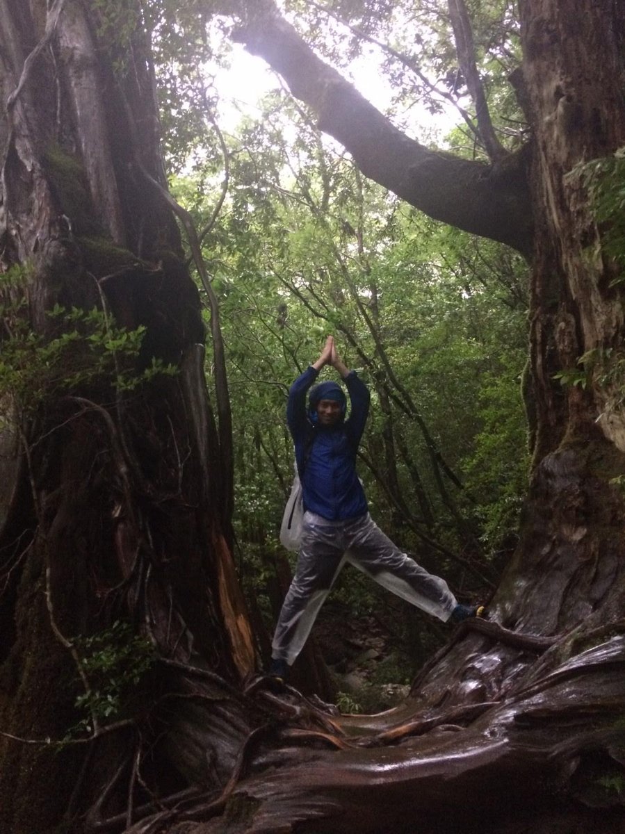Mountain Rock Perch, Yakushima's Misty Peaks photo 3