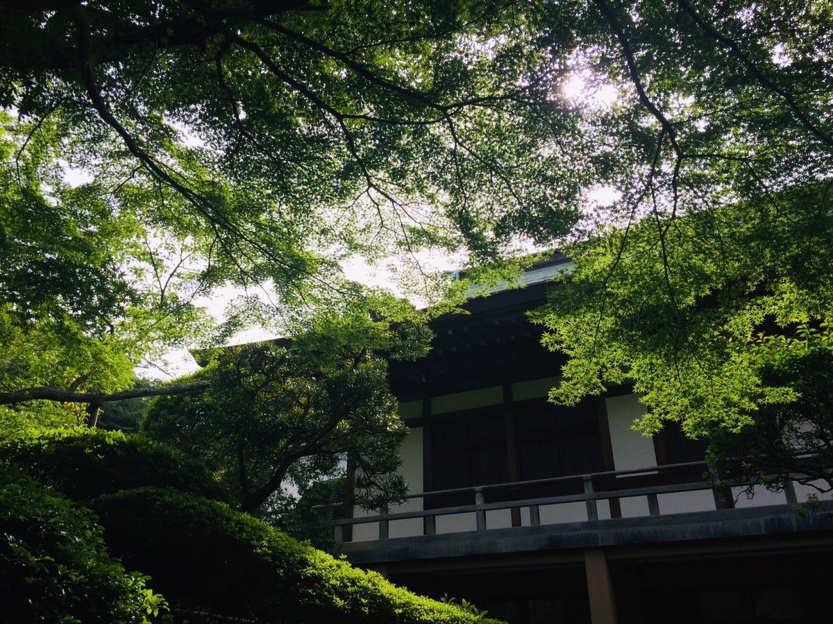 Tsurugaoka Hachiman Shrine Approach, Kamakura photo 5