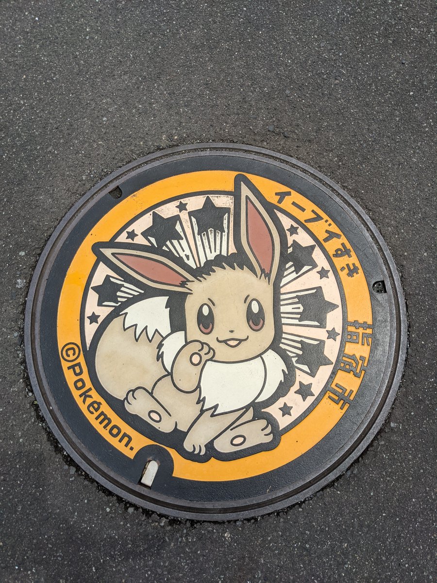 Pokémon Manhole Cover, Minato, Ibusuki